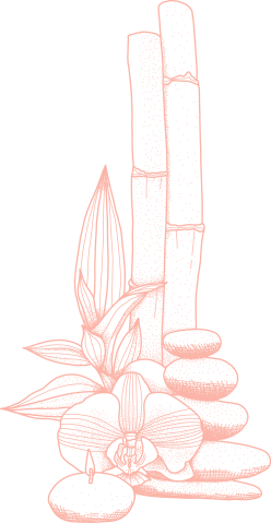 https://bodyzen-sn.com/wp-content/uploads/2021/04/cbn-2.png